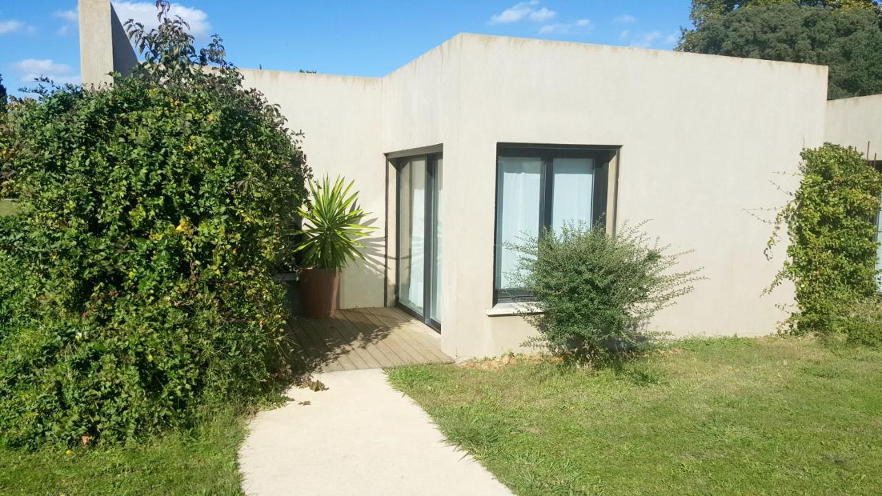 Les Madones Daire Nîmes Dış mekan fotoğraf